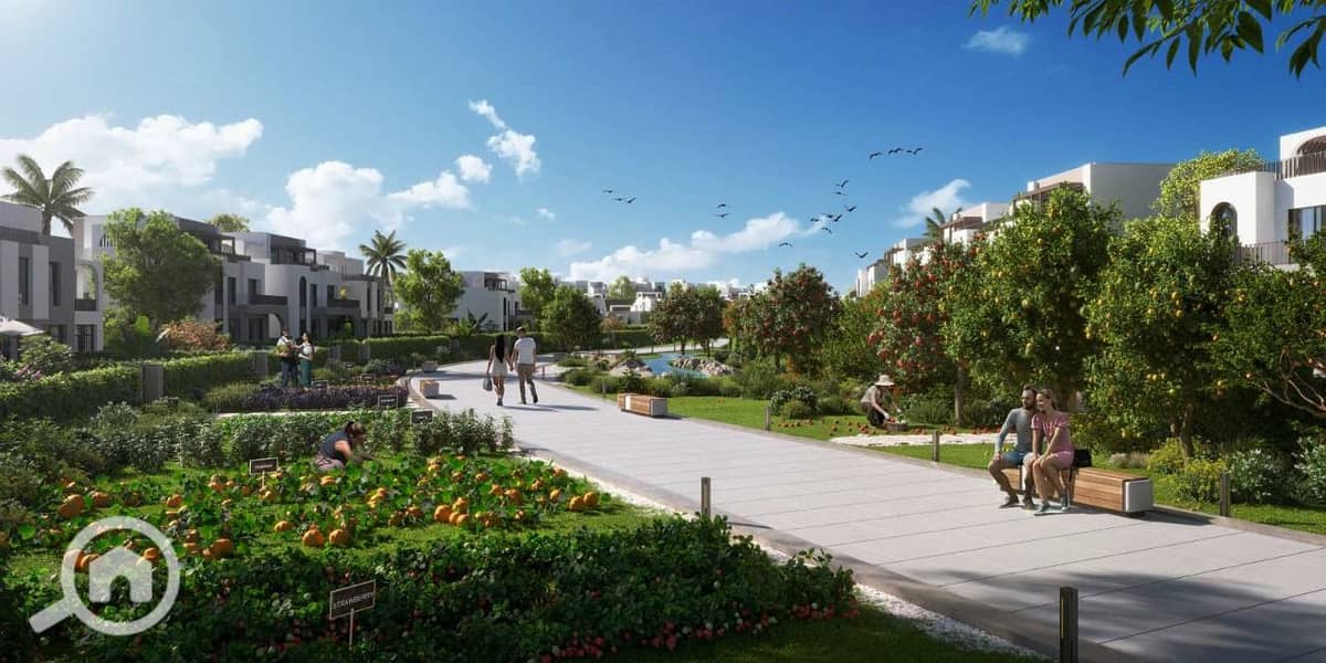 15 94e2ff0afbbc2ec320ab33ecd965341a05516417. jpg