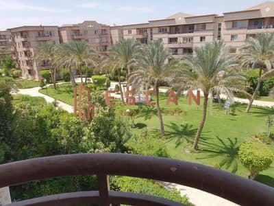 فلیٹ 3 غرف نوم للايجار في القاهرة الجديدة، القاهرة - U154247. jpg