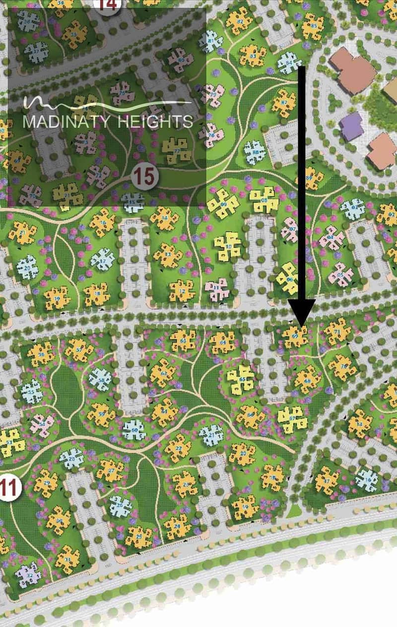 1000198764. jpg 1000198764. jpg