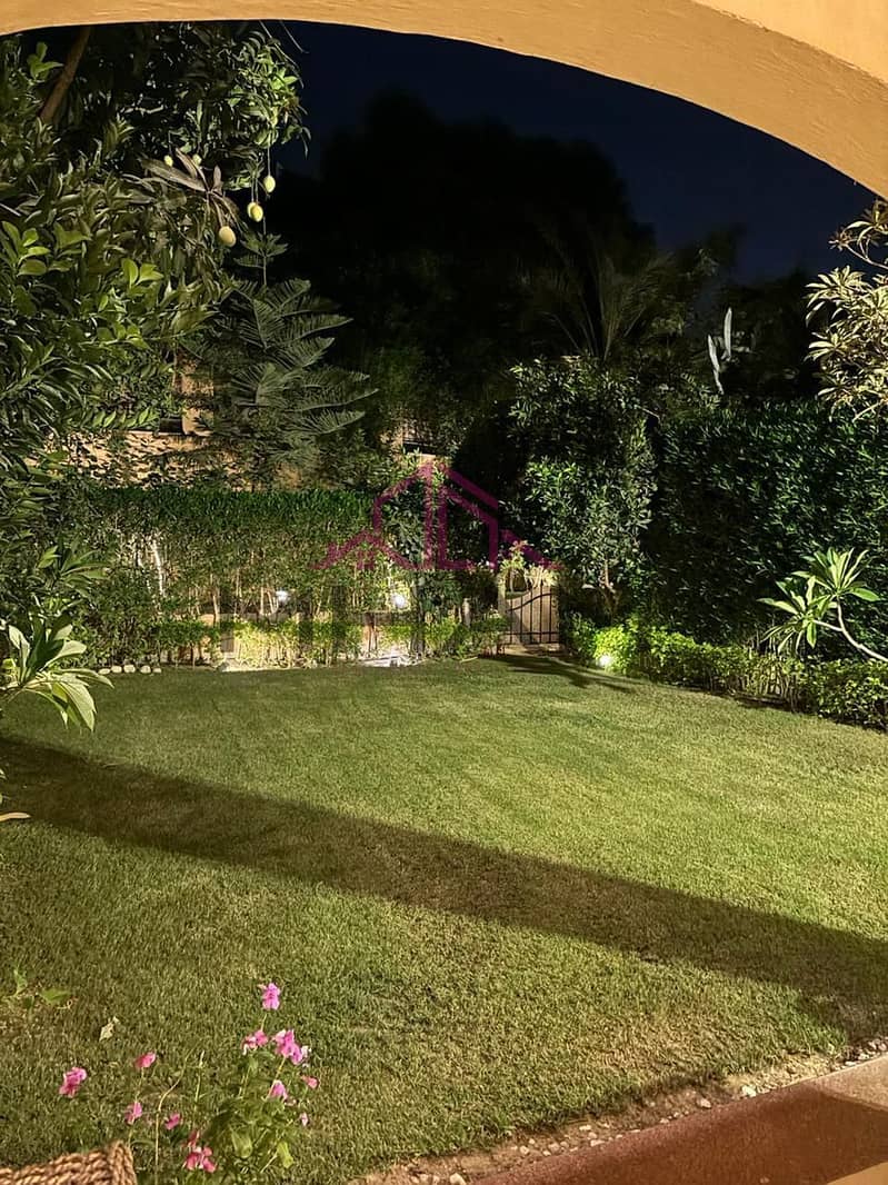 6 photo_5823247227382598816_y. jpg