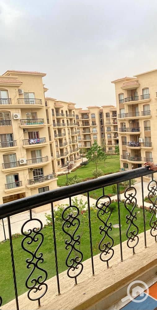 12 cf49247b-5d6f-4ee1-a563-e75d3135f1de. jpeg