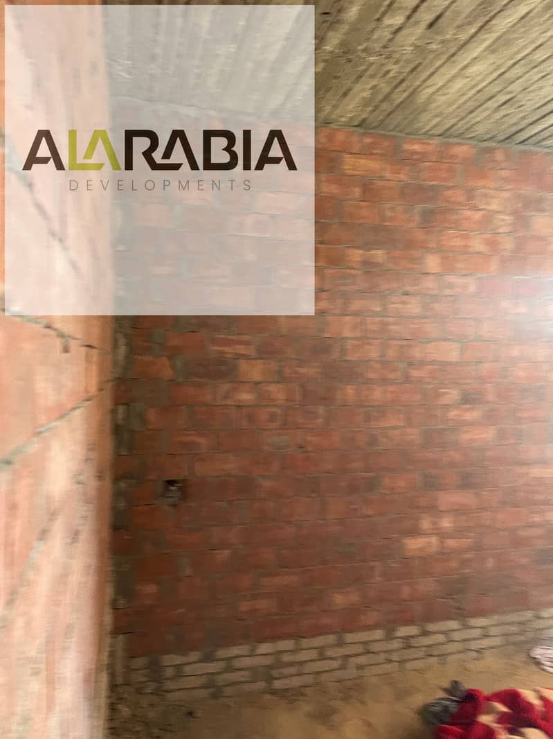 13 2025_11_12_15_20_IMG_5536. JPG