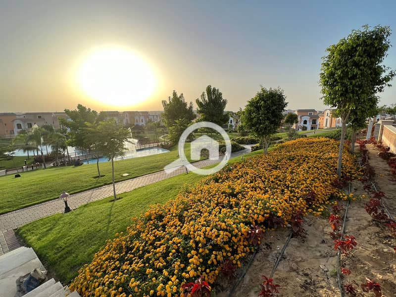 3 2c5bdc2b-3216-4d56-a530-0f24bb31e329. jpg