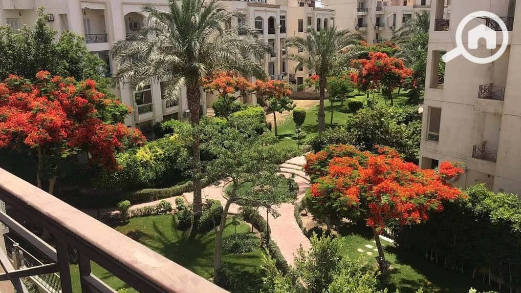 2 Sheikh-zayed-city-2. jpg