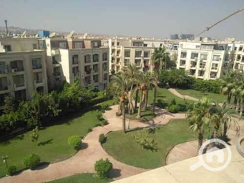 5 medium_IMG-20240422-WA0131. jpg