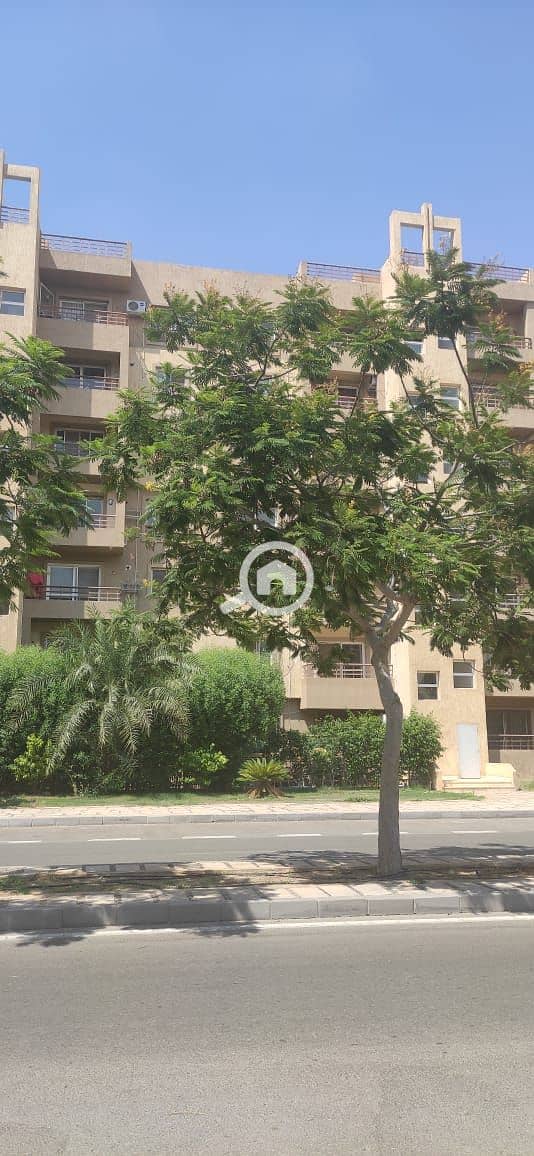 6 WhatsApp Image 2025-11-18 at 3.28. 39 PM (2). jpeg