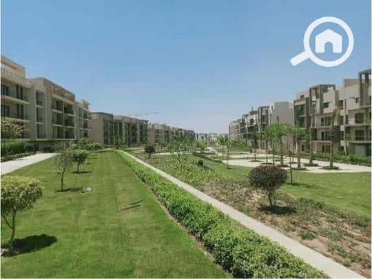 5 95600d6e-e38d-41f6-a5ed-15a89c9db2ed. jpg