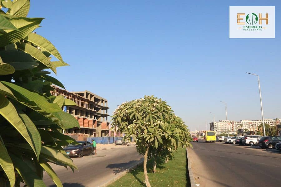 3 IMG_1418 - Copy. jpg