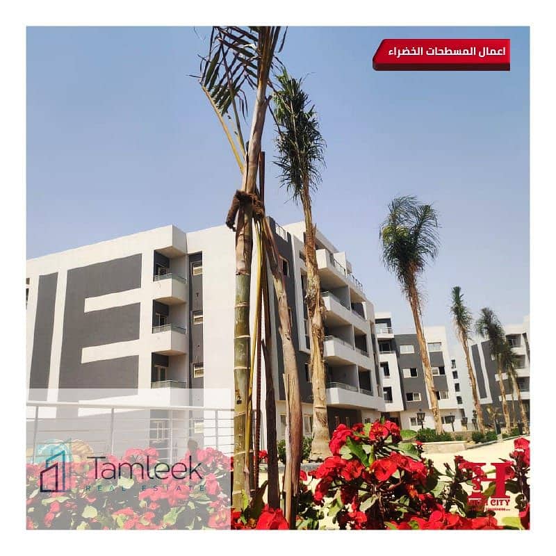 3 WhatsApp I-11-17 at 12.25. 47 PM. jpeg