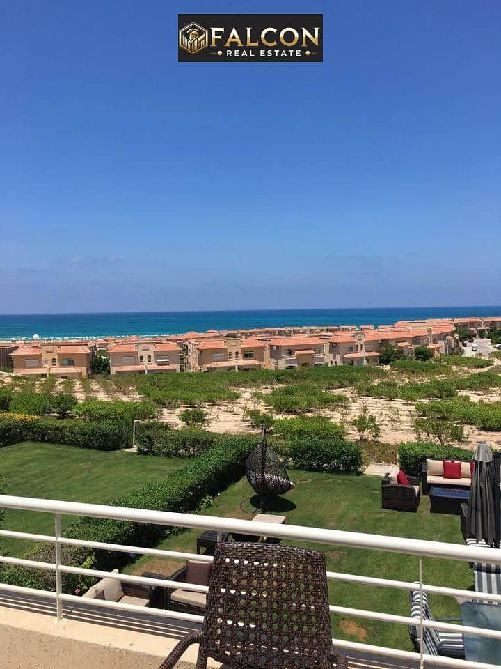 3 536275540_10161675183202525_7006426545093803241_n. jpg