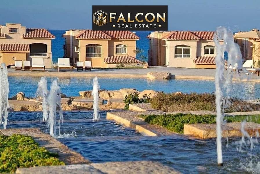 8 346891330_10073052916100887_2085216161661560485_n. jpg