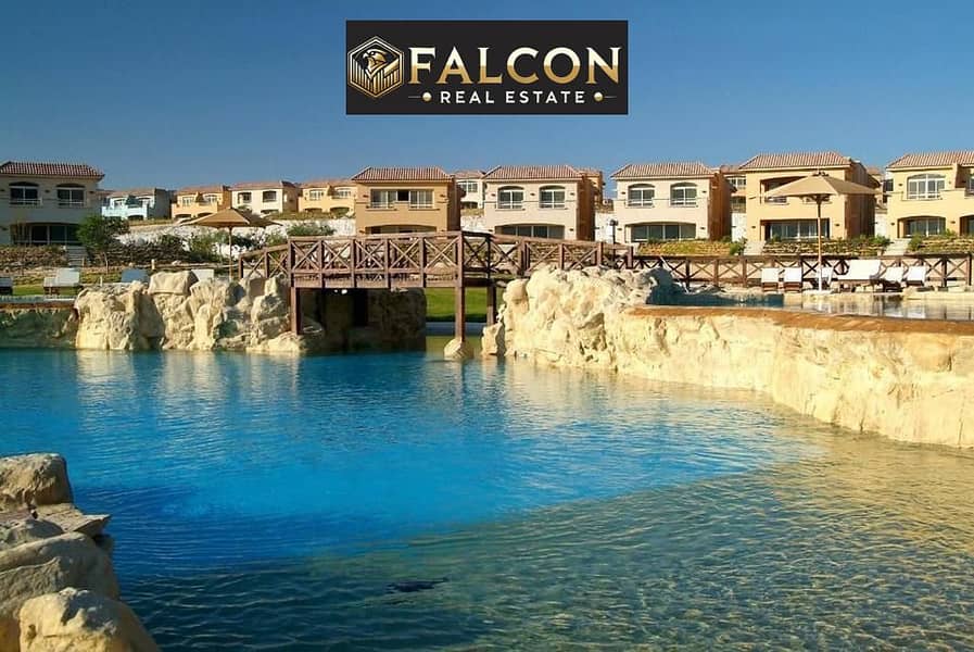 12 436256775_1173758083980493_277788808538849714_n. jpg