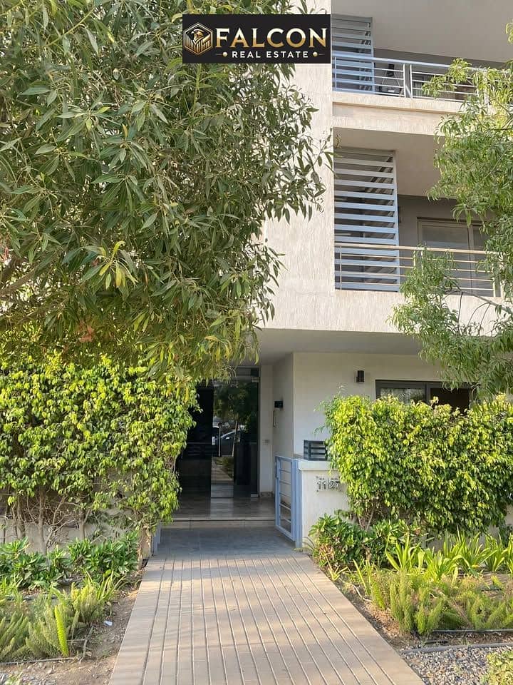 8 564398970_710018098040758_6474262275265497421_n. jpg