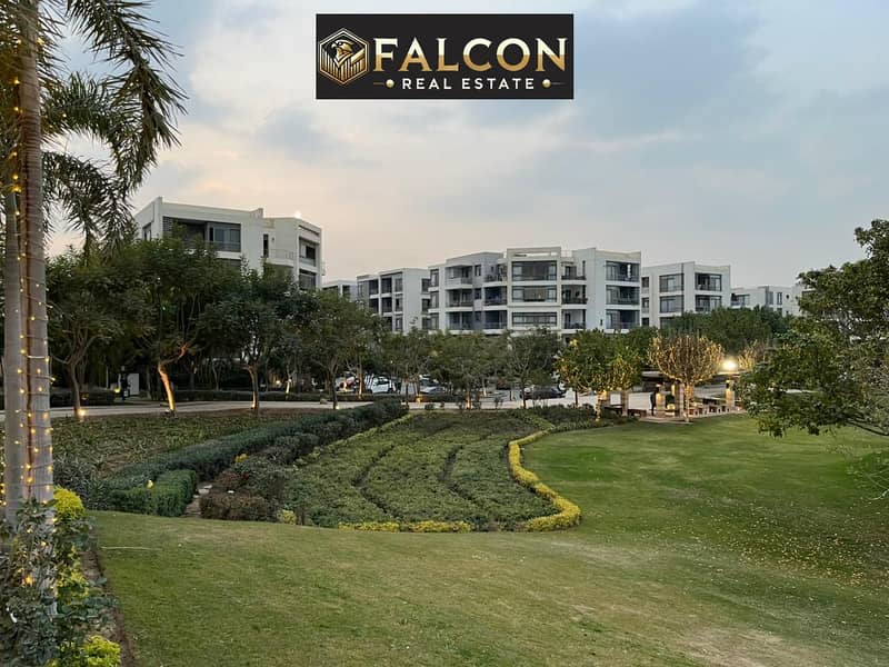 13 WhatsApp Image 2024-12-08 at 17.47. 27_e22e2368. jpg