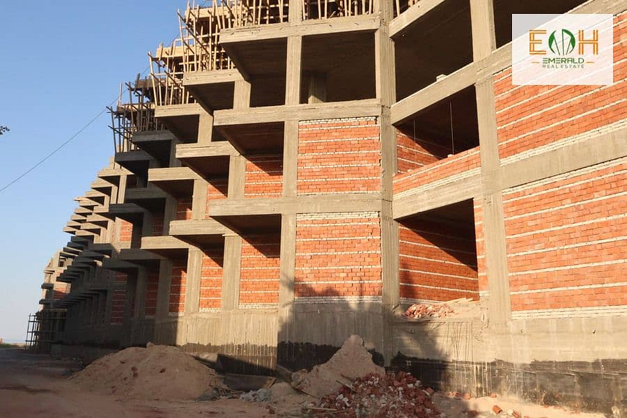 5 IMG_1434 - Copy - Copy - Copy - Copy - Copy (2) - Copy. jpg