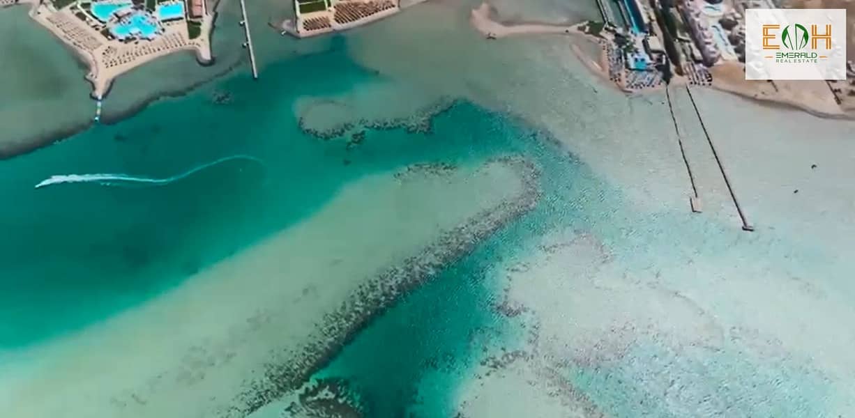 11 Screenshot (86). png