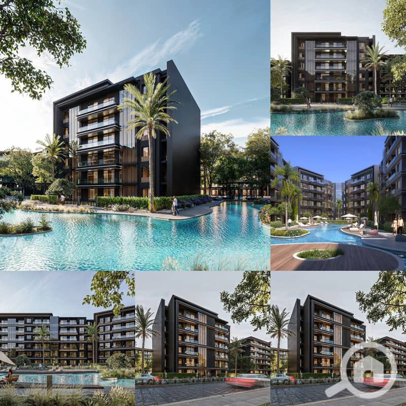 4 577410261_4315853735358632_8952075504534934756_n. jpg