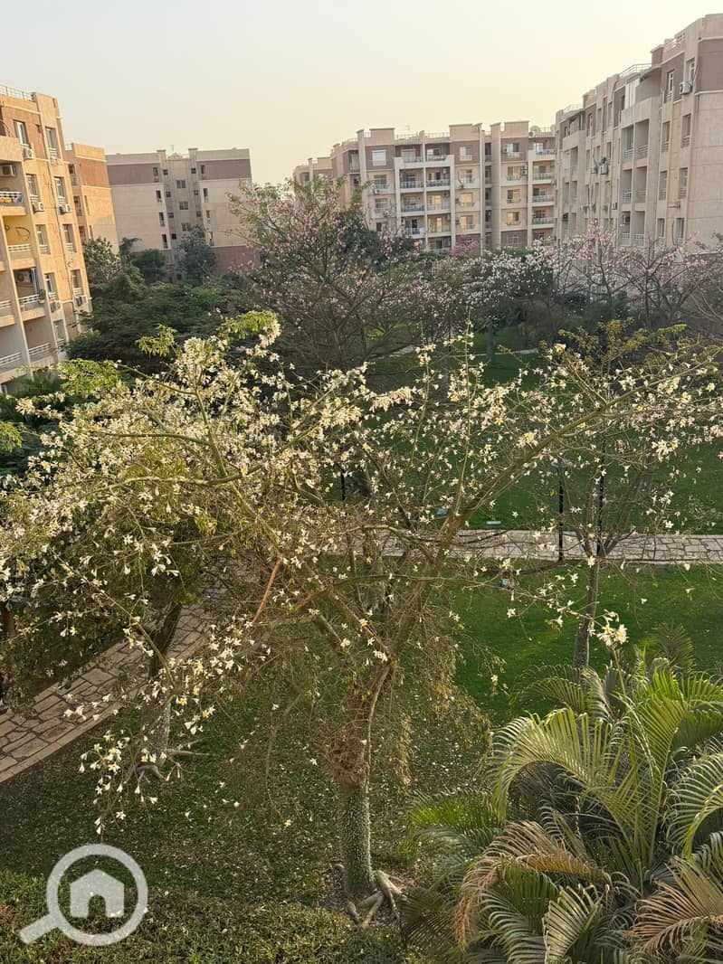 17 cce950f8-58b7-43b9-abfd-cd99886bb3ad. jpg