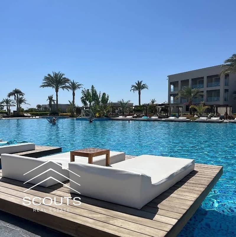 IMG_6413. jpeg IMG_6413. jpeg