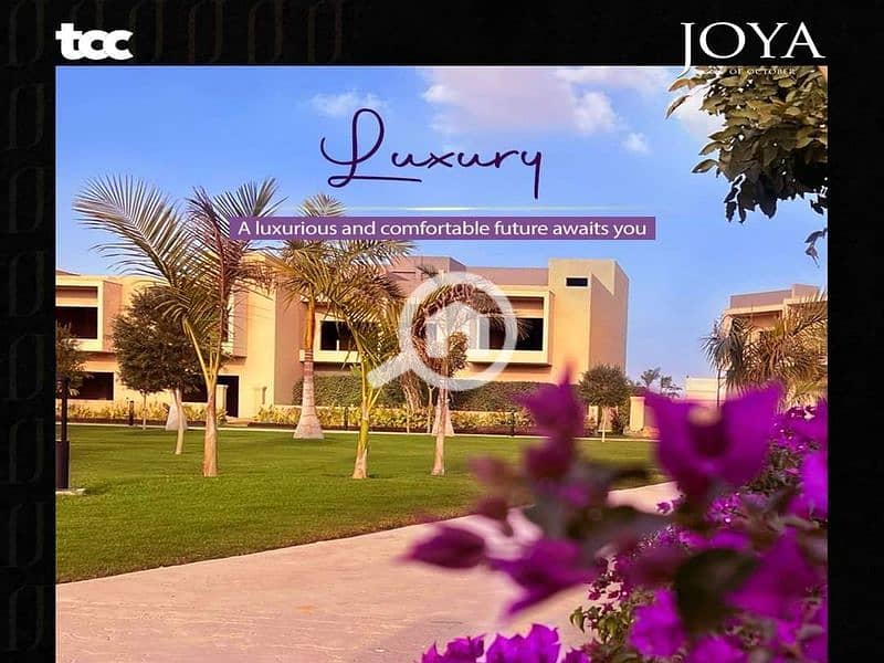 13 WhatsApp Image 2023-11-17 at 21.50. 13_dc4d8bb2_800x600. jpg