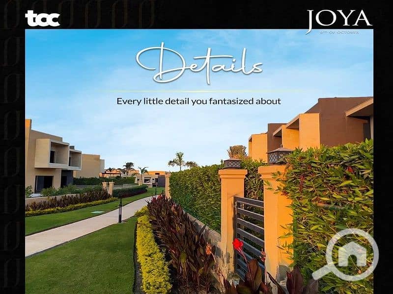 17 WhatsApp Image 2023-11-17 at 21.50. 17_baf05b0b_800x600. jpg