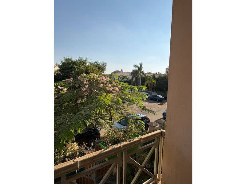 5 51fbaa5f-efd2-4b19-8922-f246fd0cd12d. jfif. jpg