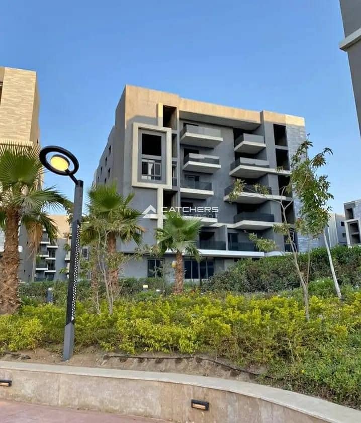 7 575102984_3388432444630697_8190622819262144754_n. jpg