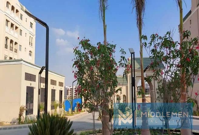 6 4713889-9c6c8o. jpg