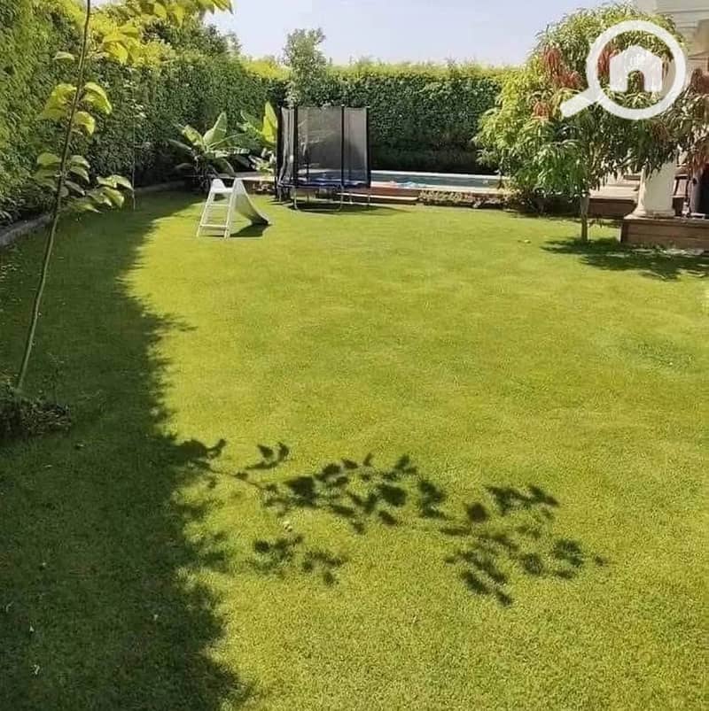 7 IMG-20251118-WA0162. jpg