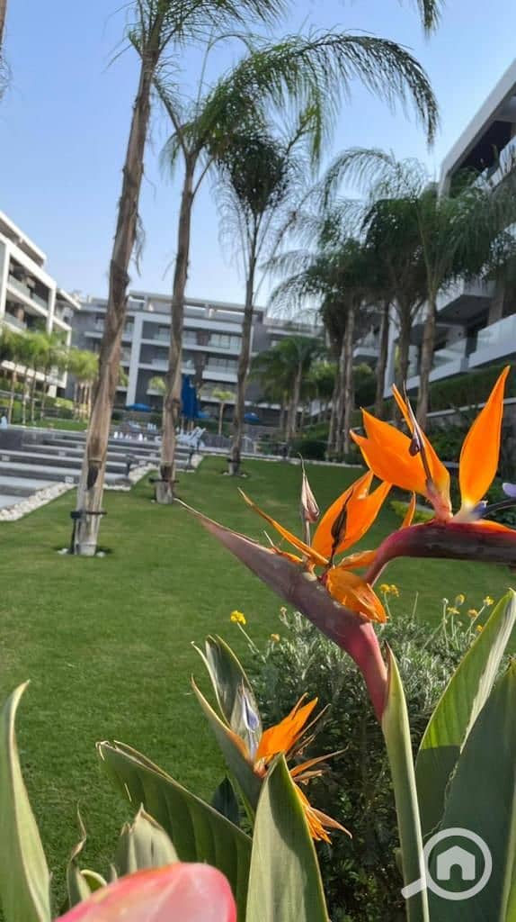 6 WhatsApp Image 2025-11-18 at 12.30. 49 PM (1). jpeg