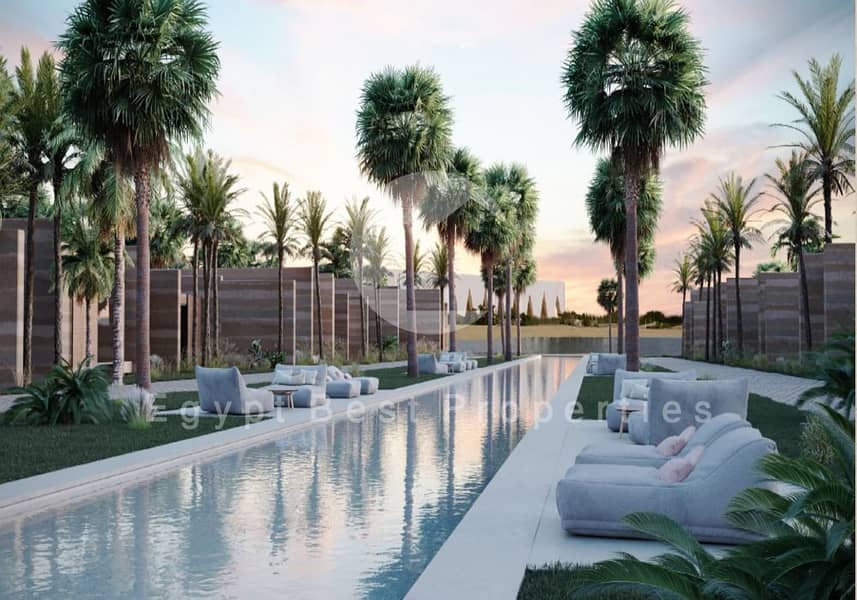 4 WhatsApp Image 2024-02-26 at 12.22. 13_8f32d707. jpg