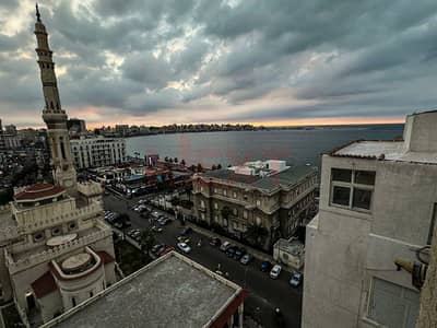 2 Bedroom Apartment for Rent in Raml Station, Alexandria - WhatsApp Image 2025-11-17 at 4.29. 15 PM (1). jpg 2 Bedroom Apartment for Rent in Raml Station, Alexandria - WhatsApp Image 2025-11-17 at 4.29. 15 PM (1). jpg