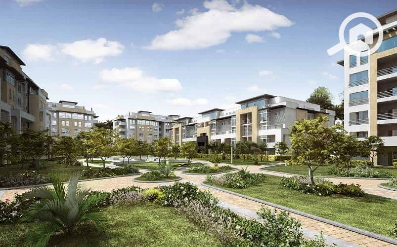 4 72572769_1250748901801143_4029376959480856576_n. jpg