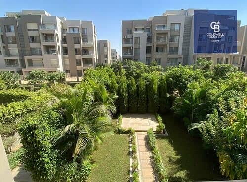 5 medium_WhatsApp_Image_2025-05-15_at_3.00. 12_PM__1__Adel_Sharaawy. jpeg