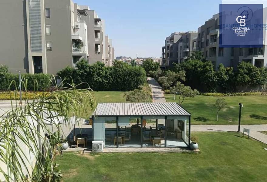 6 8263455-e4c87o. jpg