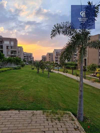 7 150017170-400x300. jpeg