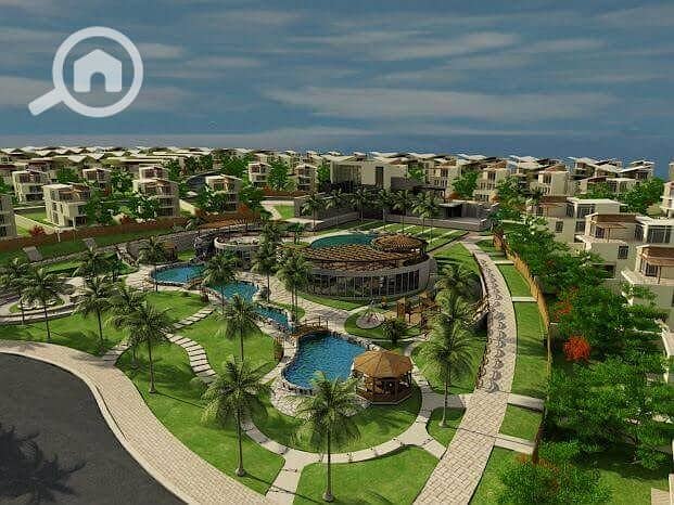 11 81e605dcbabd84e131bc1e72eb78f122. jpg