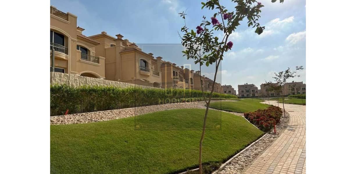 6 7869017-cad31o (1). jpg