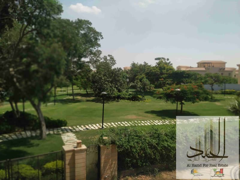 6 970c2ecb-e318-4fb8-9ebf-86b3783d1a51-1_all_499. jpg