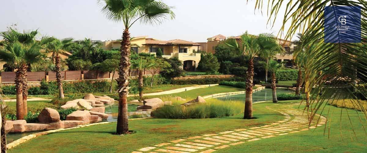 5 سوان-ليك. jpg