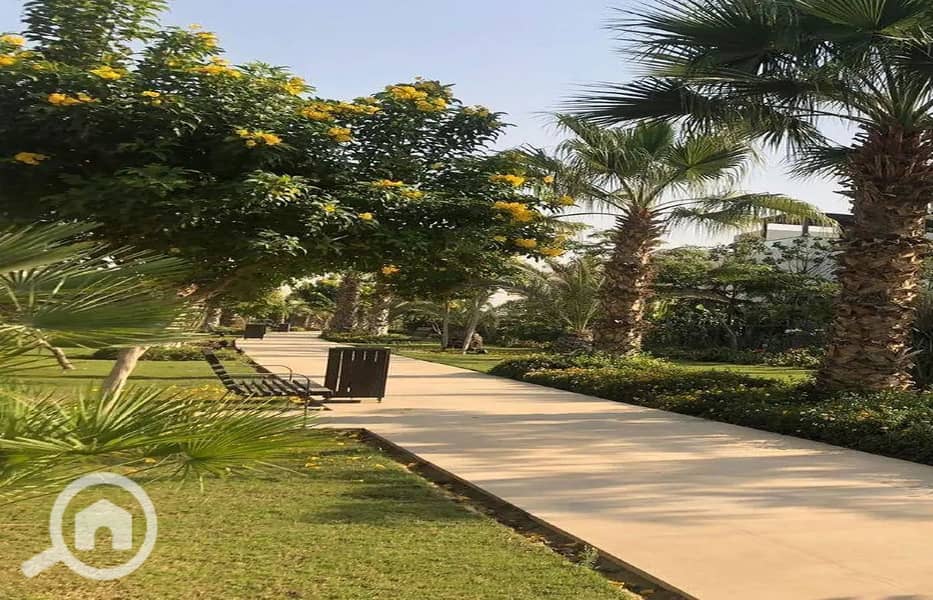 3 7055219-640cfo_1400x900. jpg