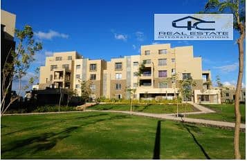 12 Screenshot (164). png