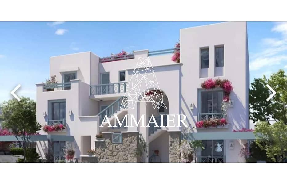 2 b6e89816-b6e5-4971-a9a0-158934ae344d. jpg