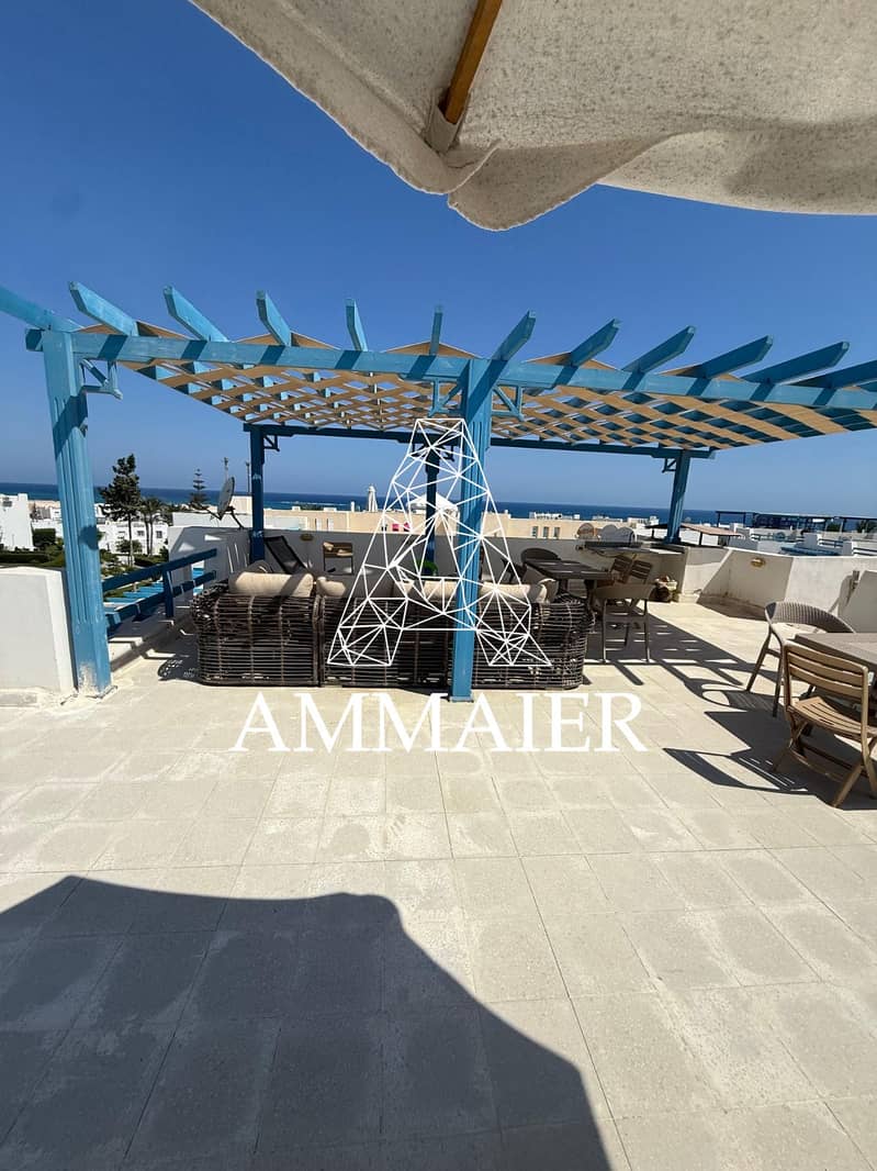 5 13e0650e-7164-4637-a623-11f5b904793e. jpg