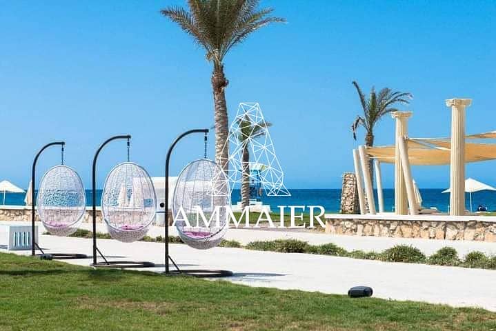 8070f2ec-4f03-4b5c-8397-2c00476fd57e. jpg