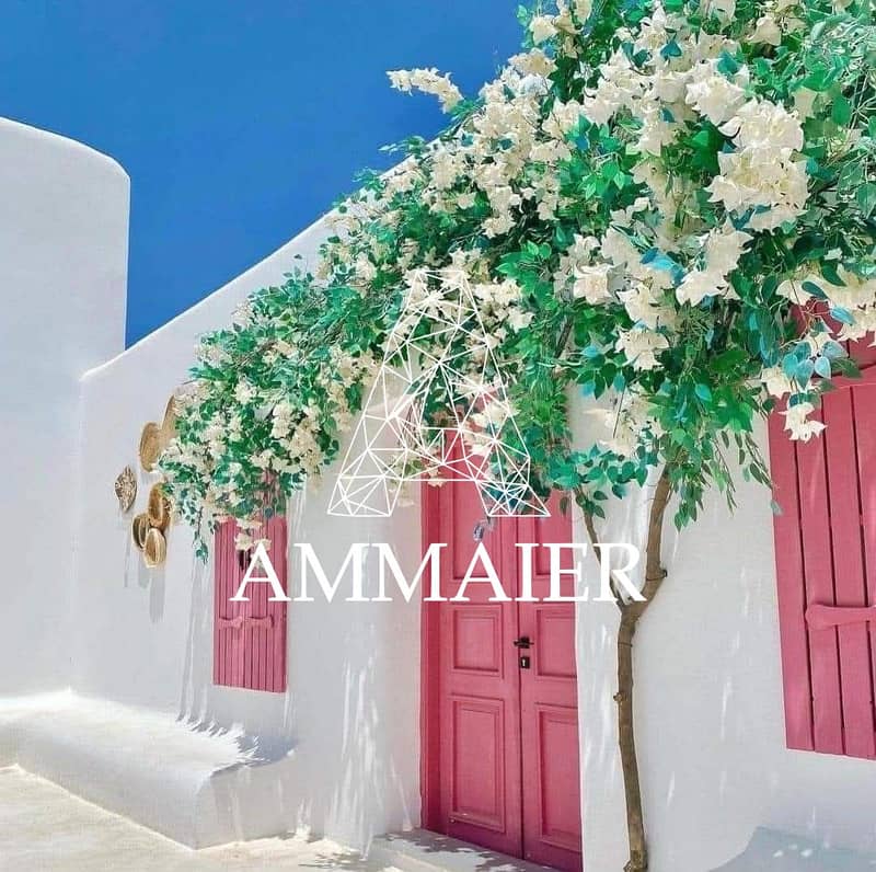 10 b699e1ac-71ca-427c-ba4a-578b46cf38c0. jpg