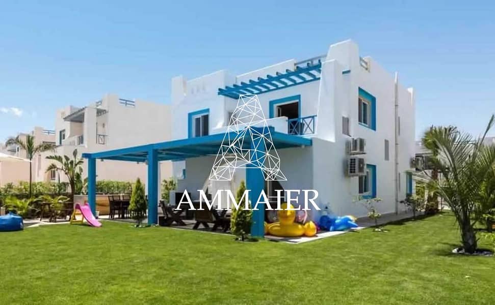 6 55ac1396-8679-4ae3-a2b5-16fe32466d14. jpg