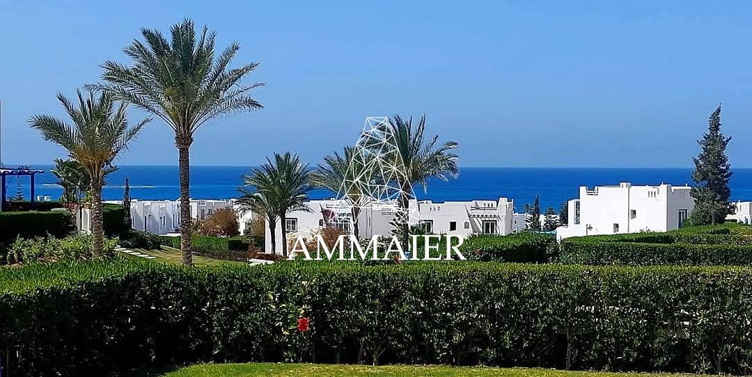 8 9709033f-7566-4d90-bd1b-1f6dca652db0. jpg