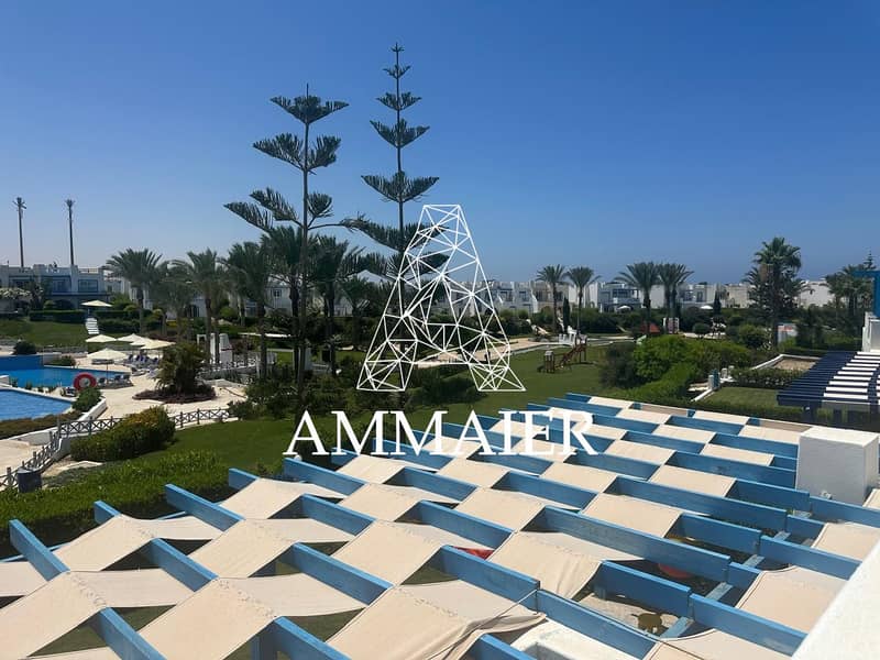 5 327442eb-0a2c-4d58-8e18-e0bc2ebb8642. jpg