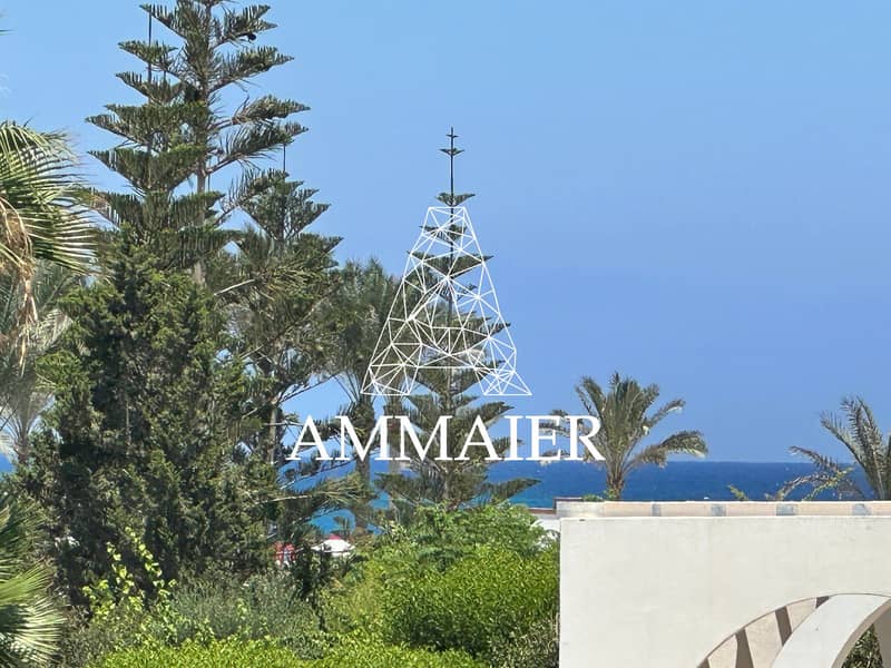 7 bfc4a593-a22f-4759-a7b2-21c83d8a3487. jpg